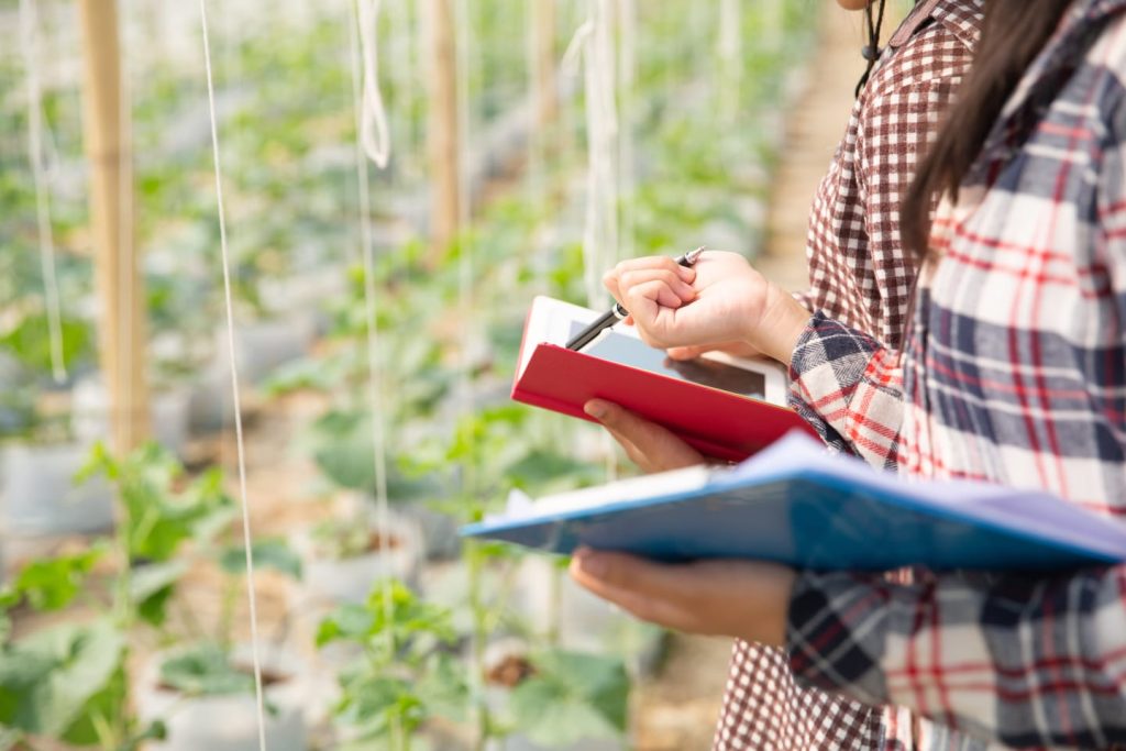 Toma de notas en cuaderno de campo